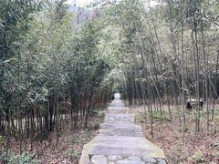 -潜山国家森林公园