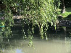 -苏州河梦清园环保主题公园