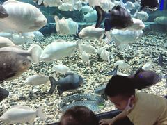 -成都浩海立方海洋公园