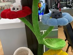 -鹰巢数码·EAGLE’S NEST(SKP店)