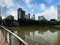 -新虹桥中心花园