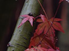 -钱塘江大桥