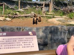 -武汉动物园