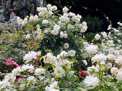 -人民公园(罗湖区)