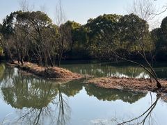 -西溪国家湿地公园