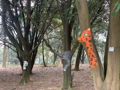 -杭州植物园