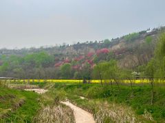 -渭南桃花源民俗文化园