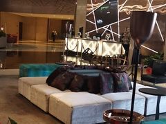 -南京禄口机场雅高铂尔曼大酒店