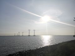 -宝安西湾红树林湿地公园