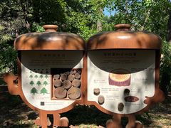 -北京西山国家森林公园