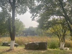 -武汉园博园(武汉自然博物馆)