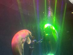 -芜湖新华联大白鲸海洋公园