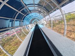 -盈香心动乐园