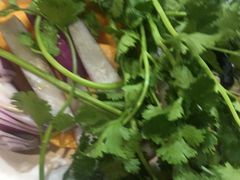 香菜-多喜客海鲜烤肉自助烤场(百花红楼店)