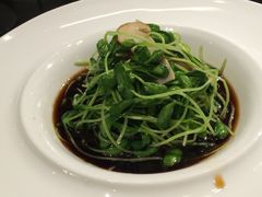 松茸黑豆芽-徐记私厨(半淞园路店)