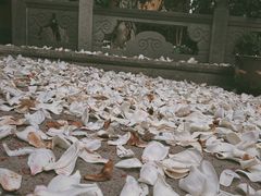 -龙华寺
