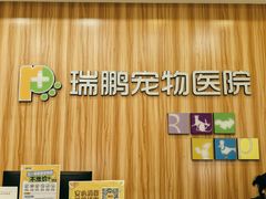 -瑞鹏宠物医院·骨科·猫科·内科(第一中心)