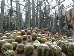 -南山植物园