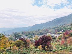 -塔川景区