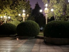 -西清公园