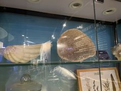 -石家庄海洋公园
