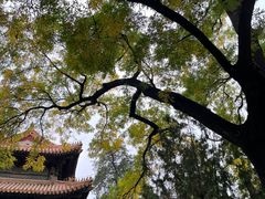-北京国子监胡同