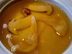 松茸西施舌-荣府宴(南阳路店)