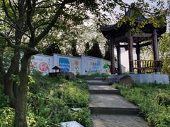 -六合国家地质公园桂子山景区