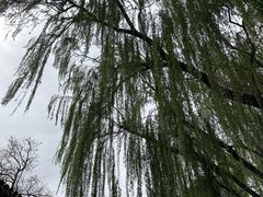 -五道营胡同