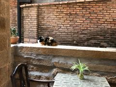 -杨桃院子旅馆(厦门鼓浪屿中华红墨店)