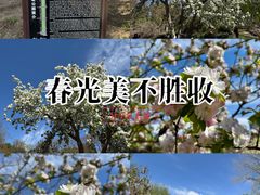 -元大都城垣遗址公园