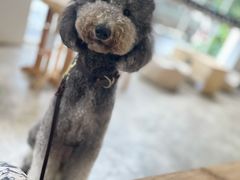 -收获咖啡HARVEST RESERVE(苍山店)