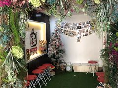 -Husky Go! 哈士奇体验馆·宠物咖啡厅狗咖