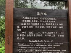 -庐山风景区花径公园