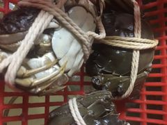 -小陆莲花蟹园农家乐(莲花岛店)