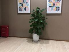 -瑞慈体检沈阳机构