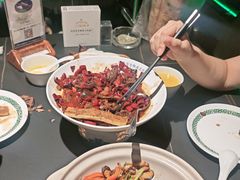 鸽子鸽杂拼-三强鸽子(中原路店)
