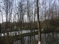 -桤木河湿地公园