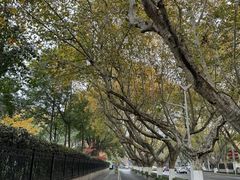 -颐和路民国时期公馆风貌区