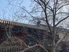 -潭柘寺景区