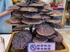 -太子园林酒家