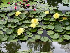 -国家植物园南园