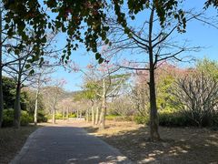 -风云岭森林公园