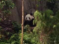 river&nbsp;safari-河川生态园