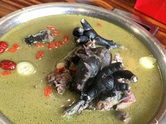 -陈三炖鸡馆(金众小区店)
