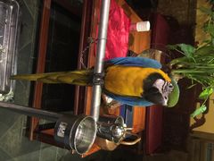 iphone_upload_pic-那家小馆•北京菜•烤鸭(中关村店)