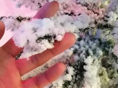 -世界之窗阿尔卑斯冰雪世界