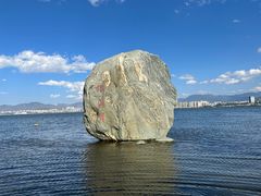 -洱海月湿地公园