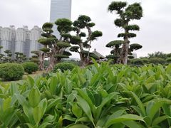 -南宁南湖公园