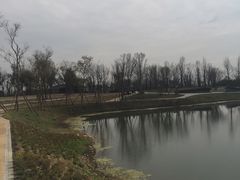 -白鹭湾湿地公园